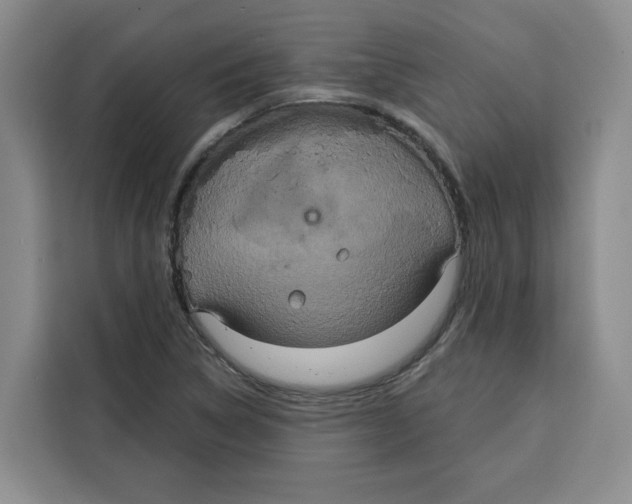 X0000115071314200911241114