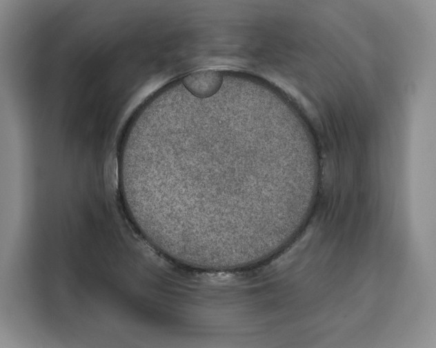 X0000115071317200911241114
