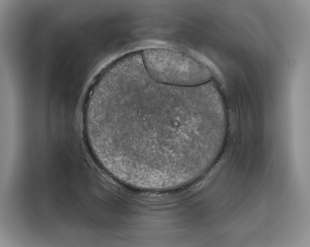 X0000115071318200911241114