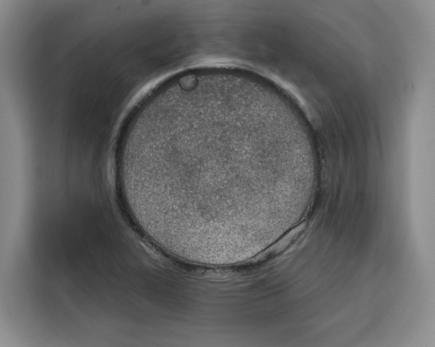 X0000115071319200911241114