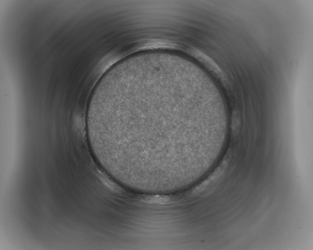 X0000115071321200911241114