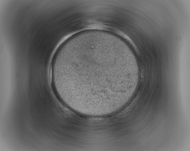 X0000115071323200911241114