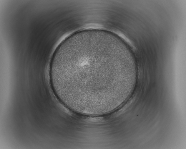 X0000115071325200911241114