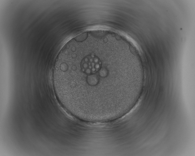 X0000115071329200911241114