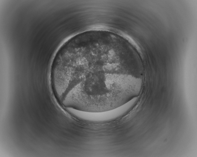 X0000115071331200911241114