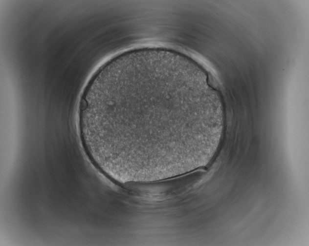 X0000115071334200911241114