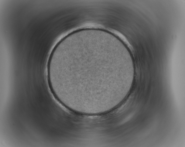 X0000115071335200911241114