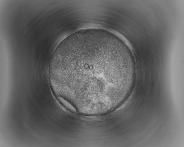 X0000115071337200911241114