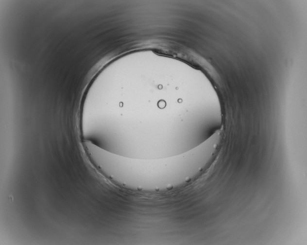 X0000115071338200911241114