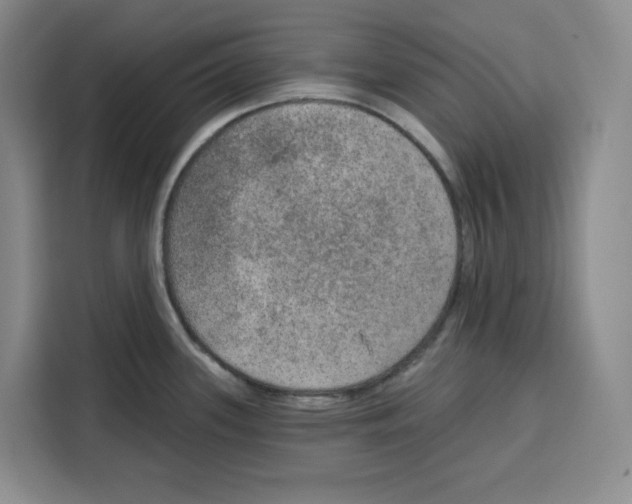 X0000115071339200911241114