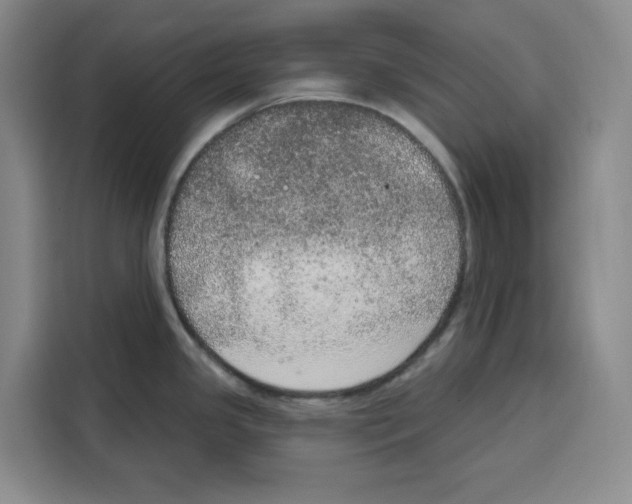 X0000115071341200911241114