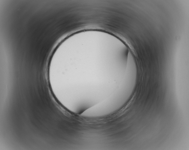 X0000115071342200911241114