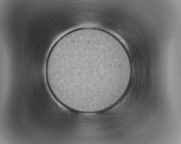 X0000115071343200911241114