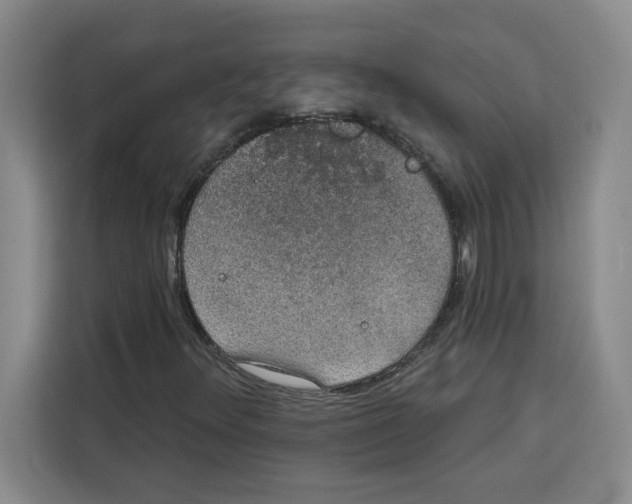 X0000115071348200911241114