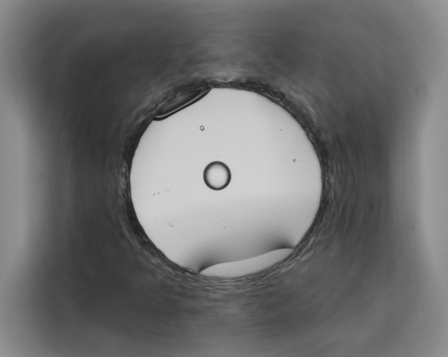 X0000115071349200911241114