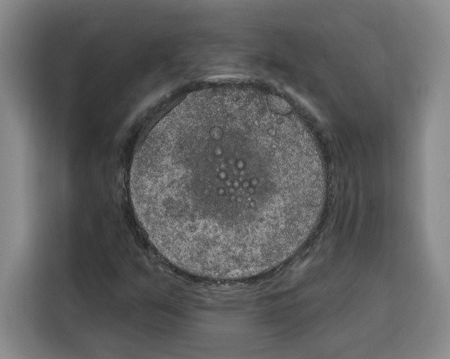 X0000115071351200911241114