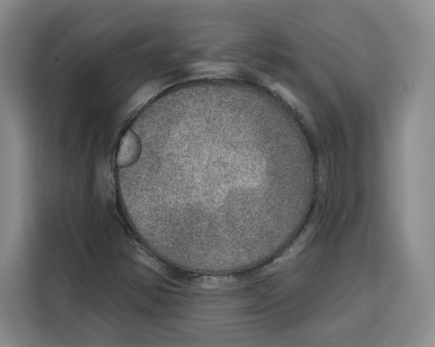 X0000115071354200911241114