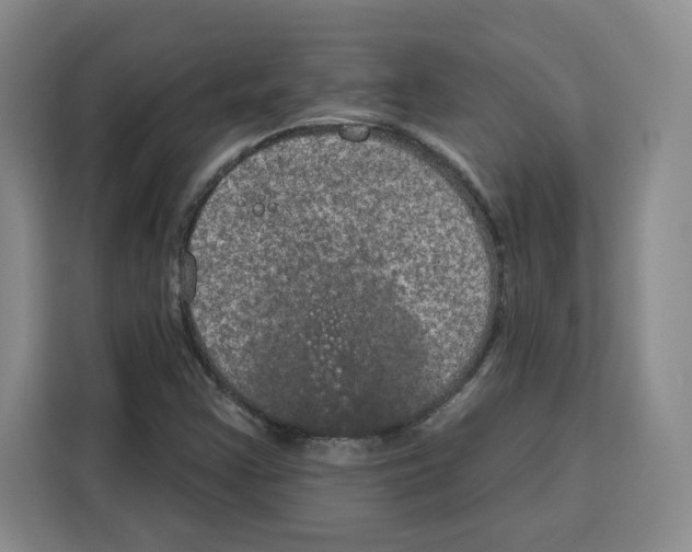 X0000115071355200911241114