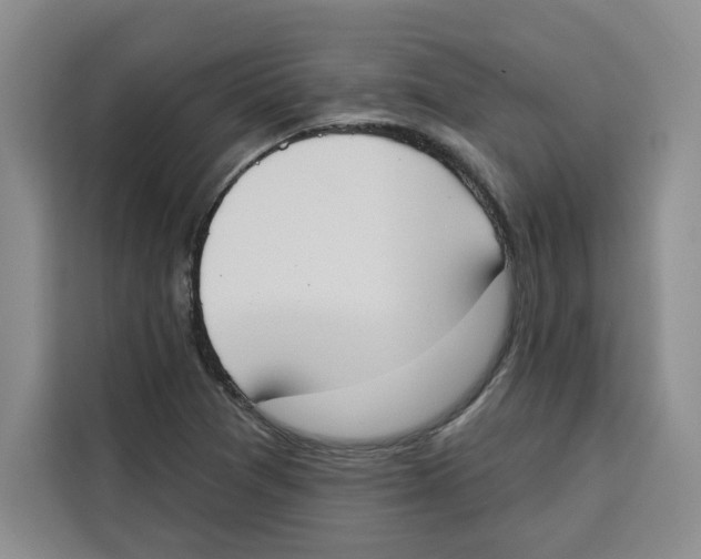 X0000115071361200911241114