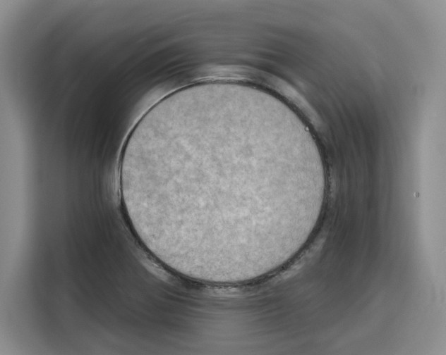 X0000115071370200911241113