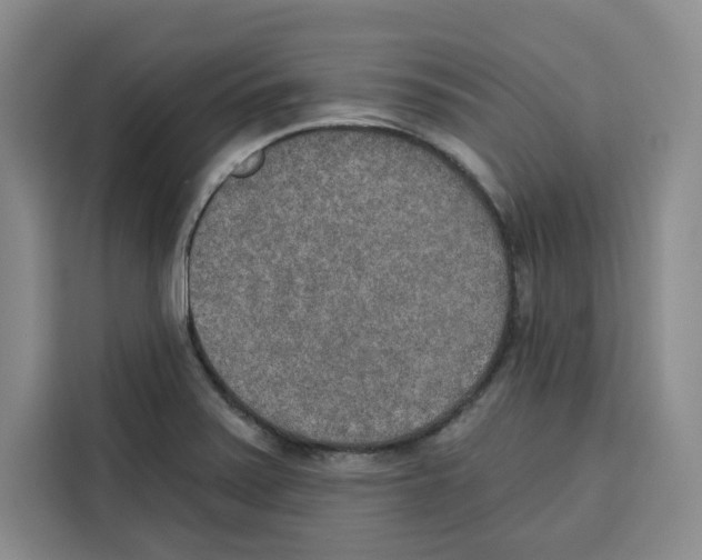 X0000115071371200911241113
