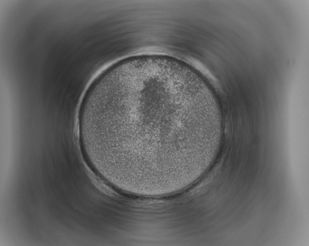 X0000115071372200911241113