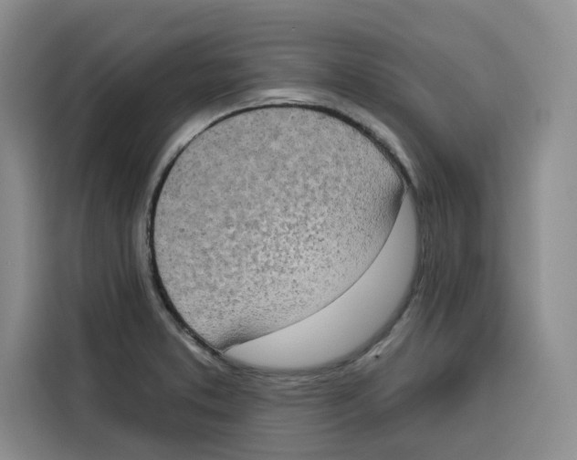 X0000115071373200911241113