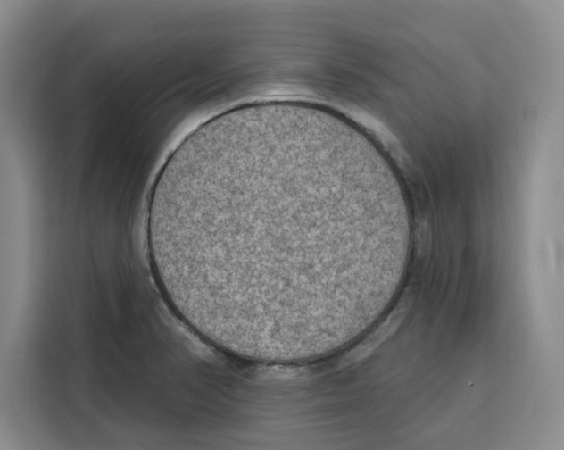X0000115071374200911241113