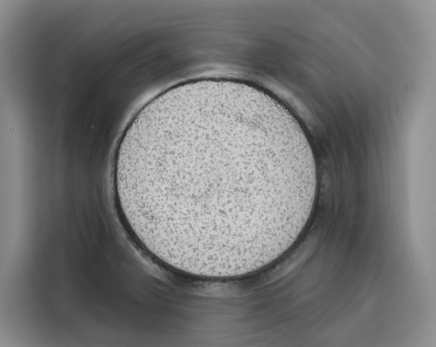 X0000115071375200911241113