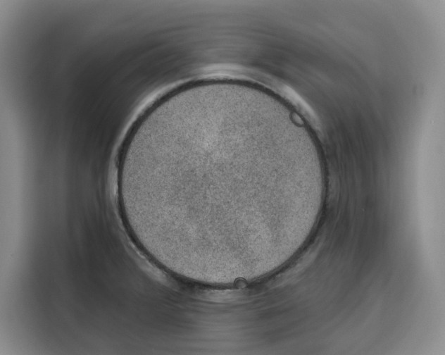 X0000115071376200911241113