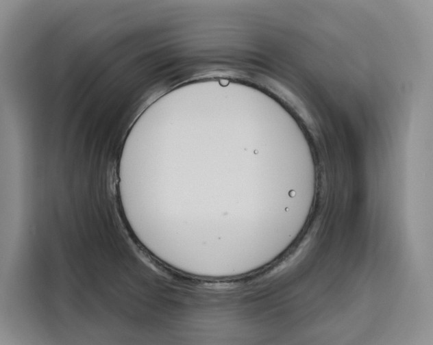 X0000115071377200911241113