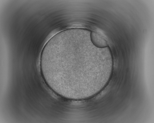 X0000115071378200911241113