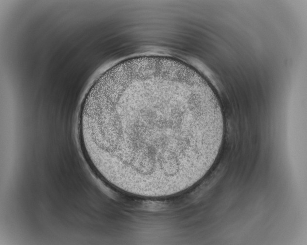X0000115071379200911241113
