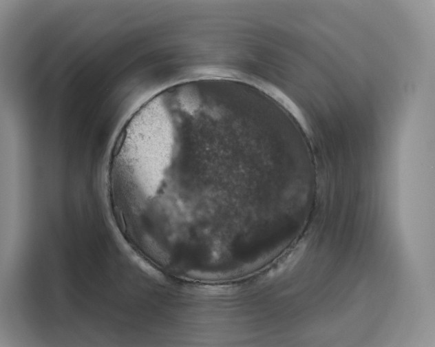 X0000115071381200911241113