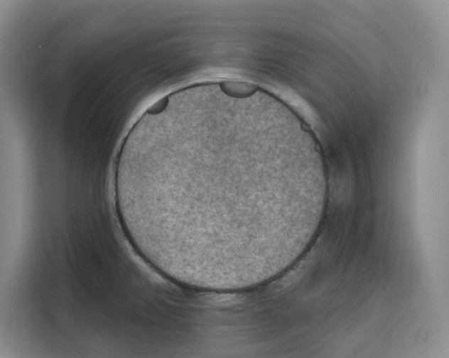 X0000115071382200911241113