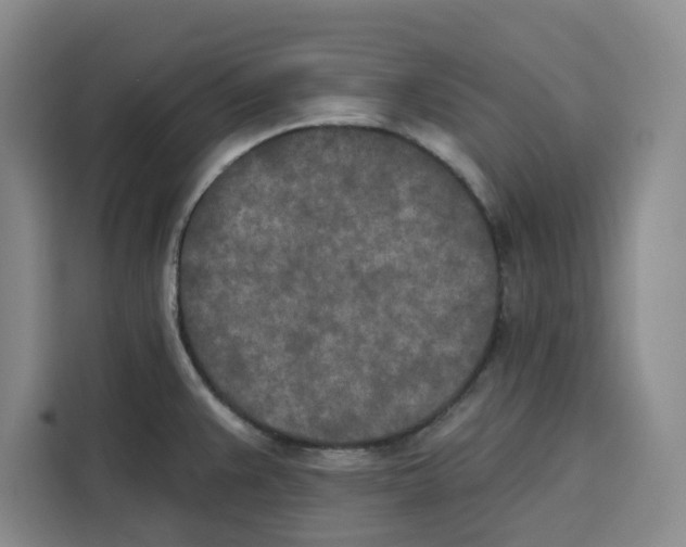 X0000115071383200911241113