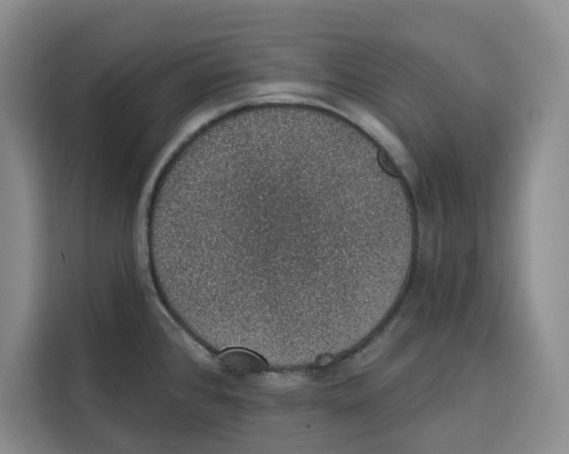 X0000115071384200911241113