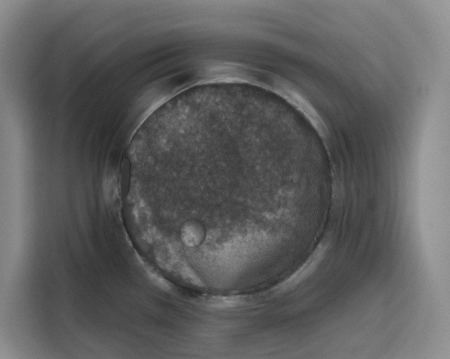 X0000115071385200911241113