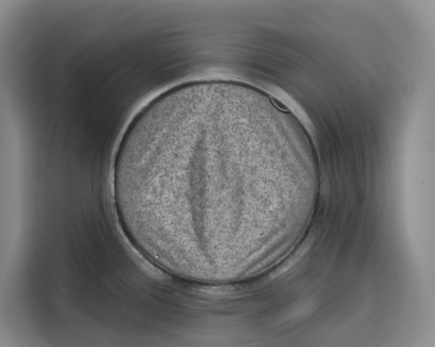 X0000115071388200911241113