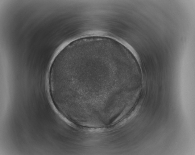 X0000115071389200911241113