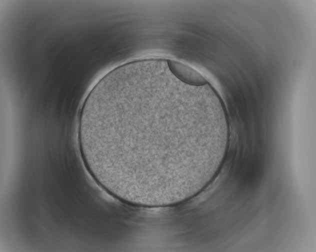 X0000115071390200911241113
