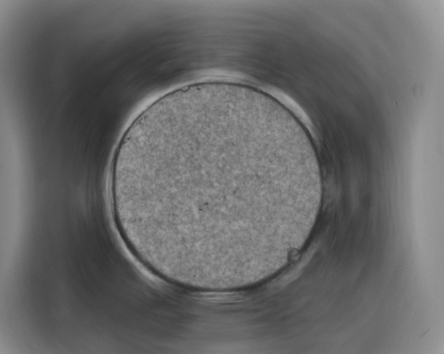 X0000115071391200911241113