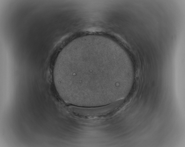 X0000115071398200911241113