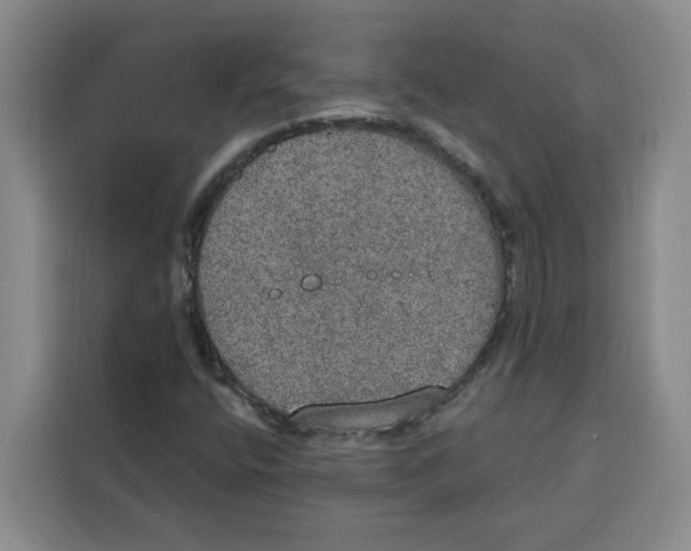 X0000115071400200911241113