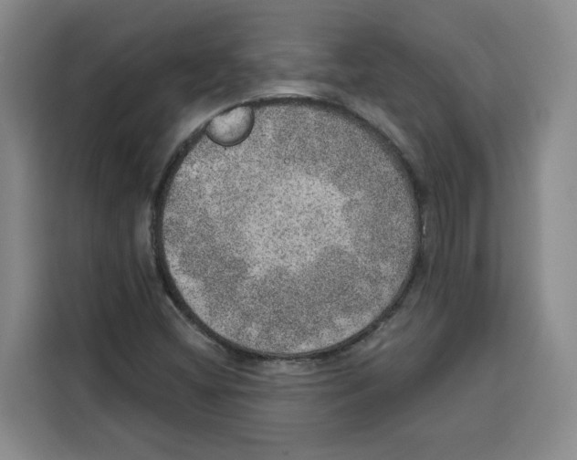 X0000115071404200911241113