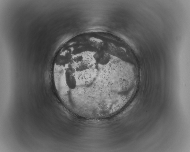X0000115071405200911241113