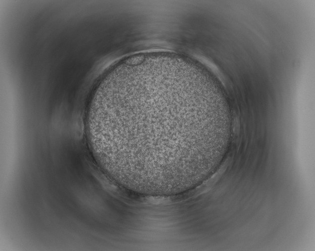 X0000115071407200911241113