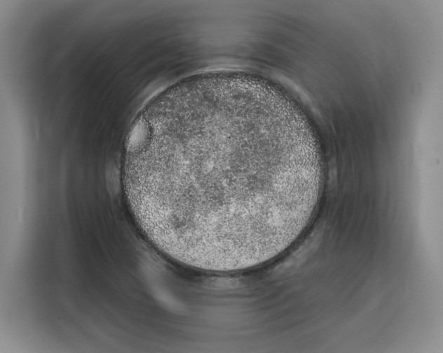 X0000115071409200911241113