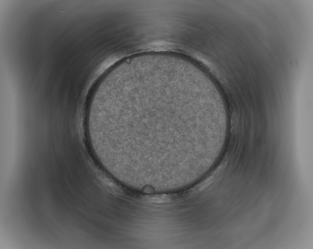 X0000115071410200911241113