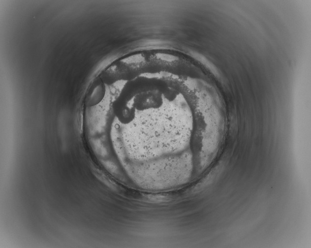 X0000115071413200911241113